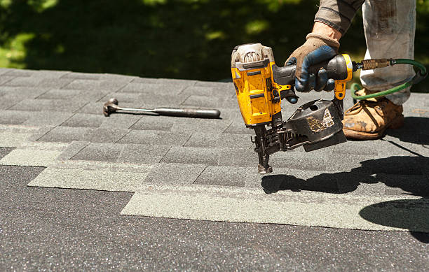 Best Roof Moss and Algae Removal  in Latimer, MS