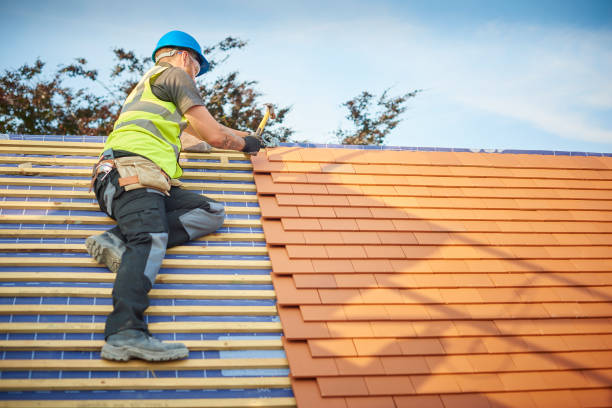 Best Gutter Installation and Repair  in Latimer, MS