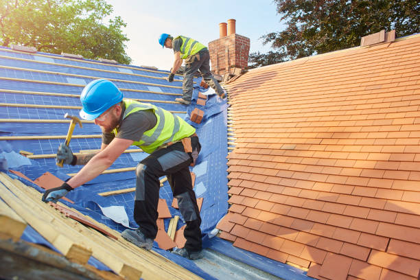 Best Roof Insulation Installation  in Latimer, MS